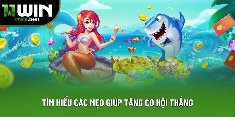 Tìm hiểu các mẹo giúp tăng cơ hội thắng