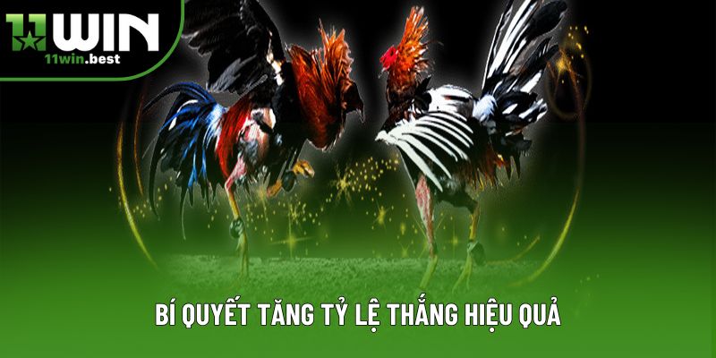 Bí quyết tăng tỷ lệ thắng hiệu quả
