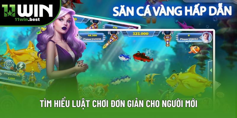 Tìm hiểu luật chơi đơn giản cho người mới