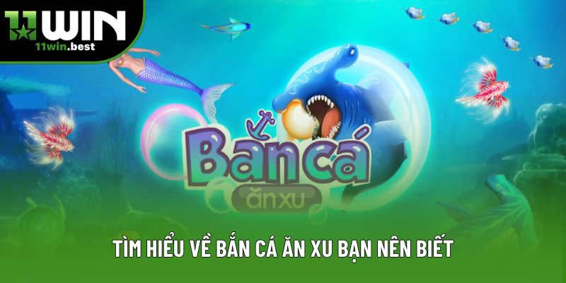 Tìm hiểu về bắn cá ăn xu bạn nên biết