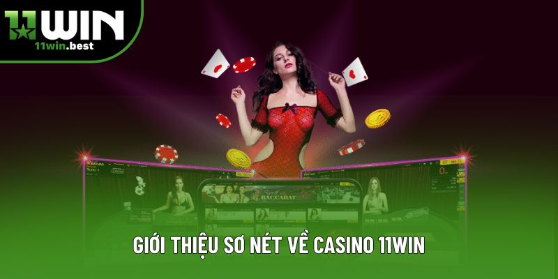 Giới thiệu sơ nét về casino 11win