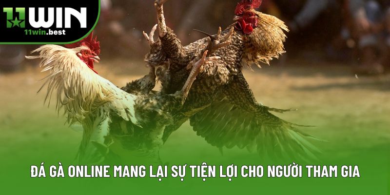 Đá gà Online mang lại sự tiện lợi cho người tham gia