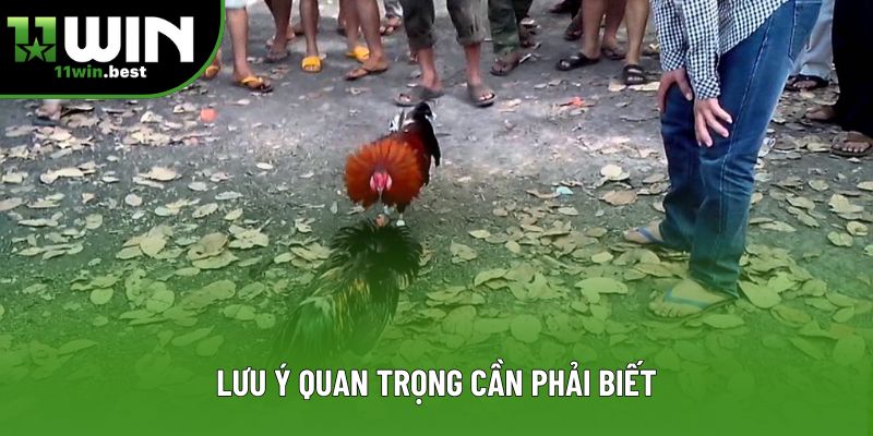 Lưu ý quan trọng cần phải biết
