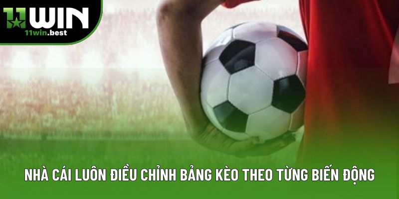Nhà cái luôn điều chỉnh bảng kèo theo từng biến động Nhà cái luôn điều chỉnh bảng kèo theo từng biến động