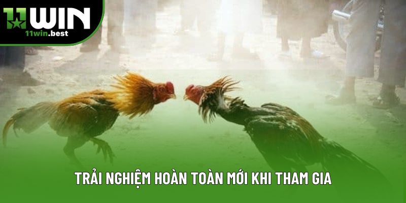Trải nghiệm hoàn toàn mới khi tham gia