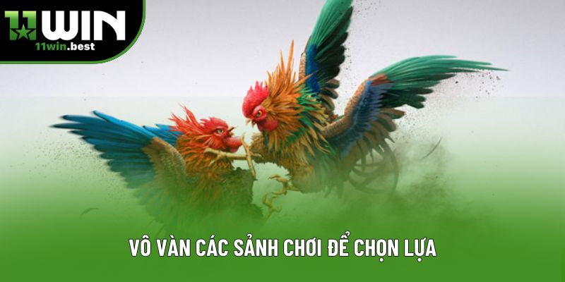 Vô vàn các sảnh chơi để chọn lựa